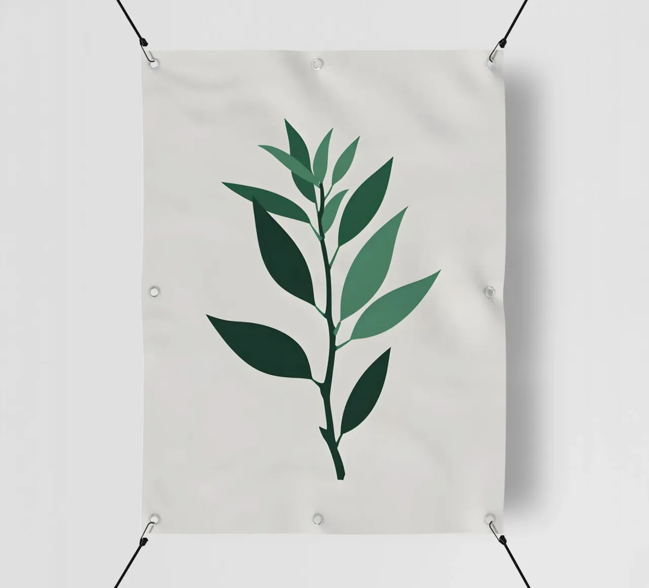 Pianta di giada telo in pvc da Botanical Gallery