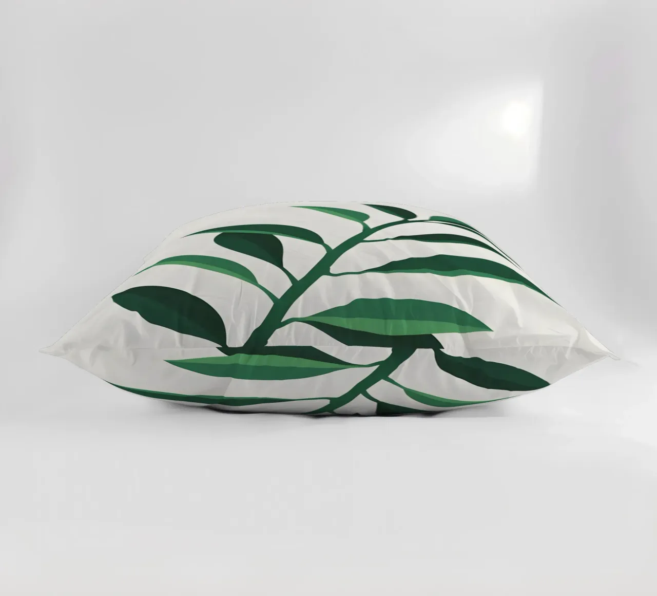 Pianta di giada cuscino da Botanical Gallery