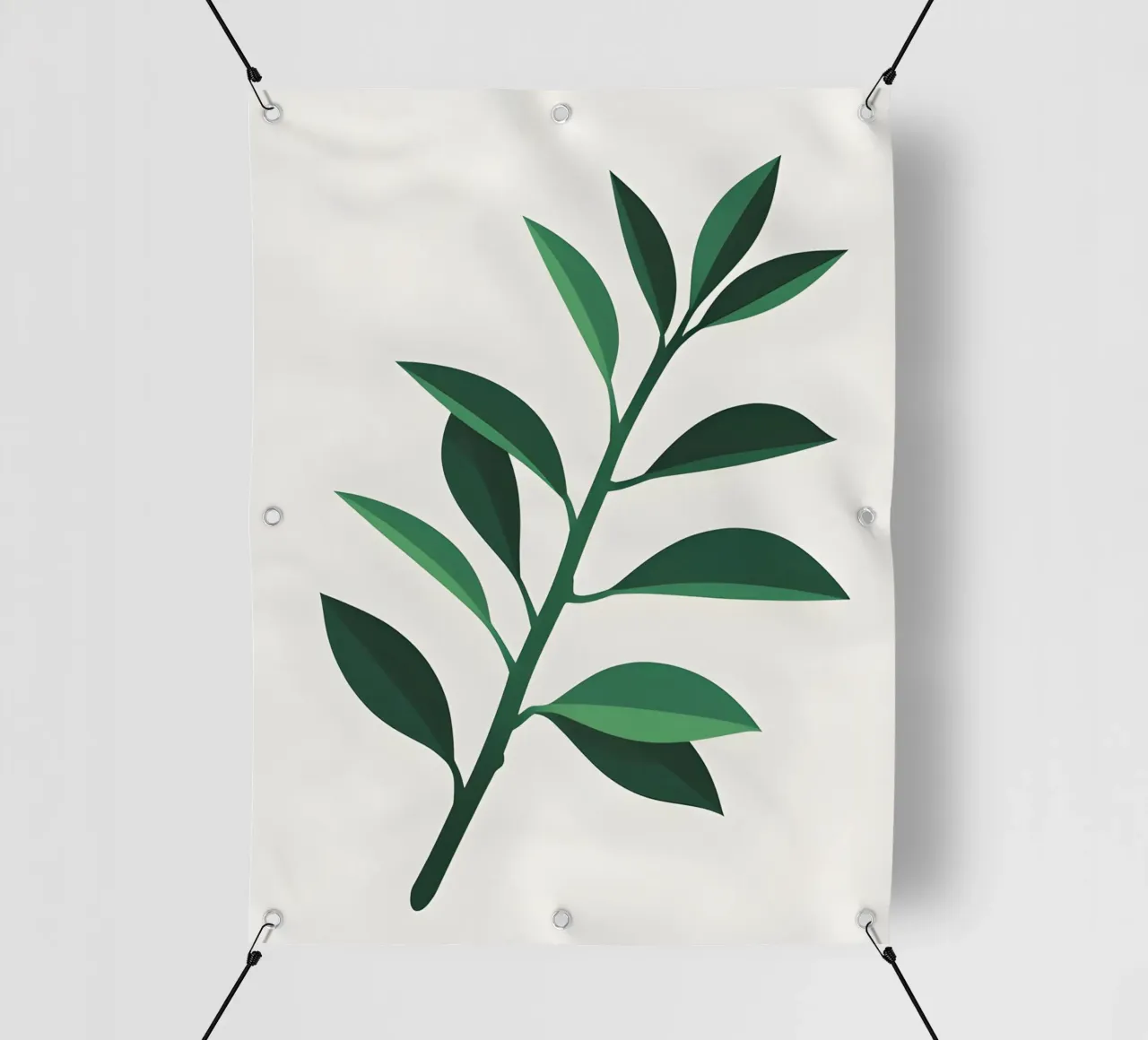 Pianta di giada telo in pvc da Botanical Gallery