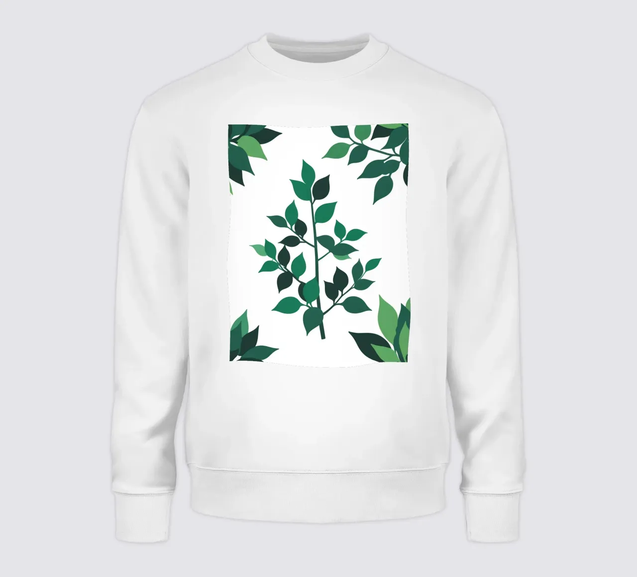 Plante de jade sweat de Botanical Gallery