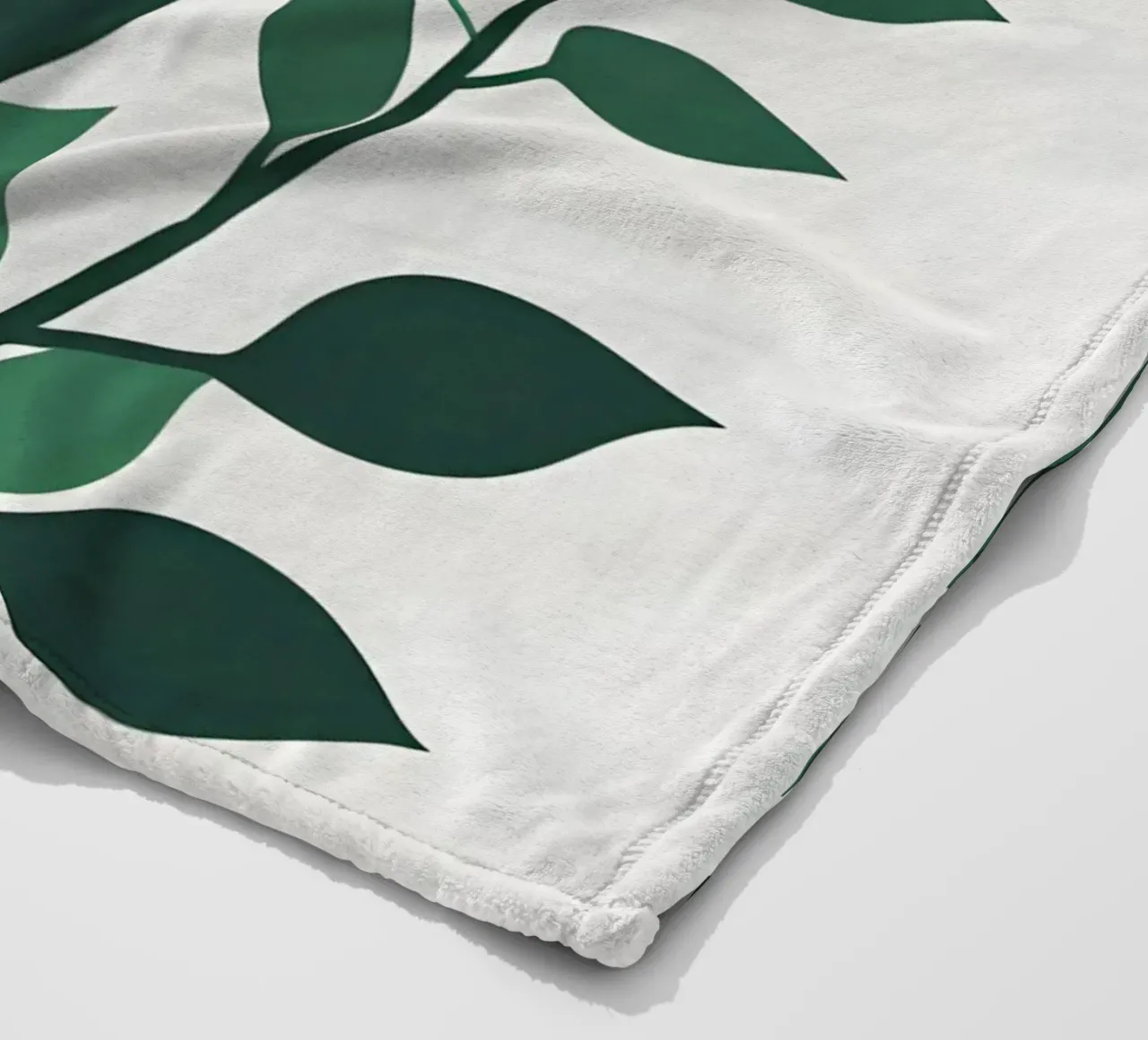 Pianta di giada coperta in pile da Botanical Gallery