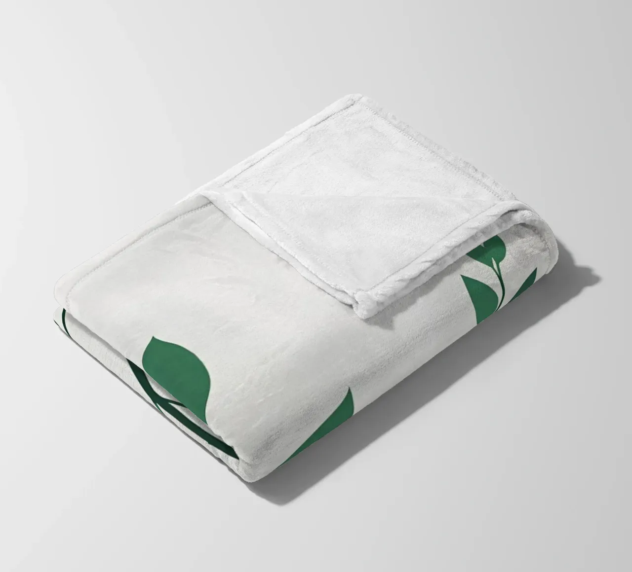 Pianta di giada coperta in pile da Botanical Gallery