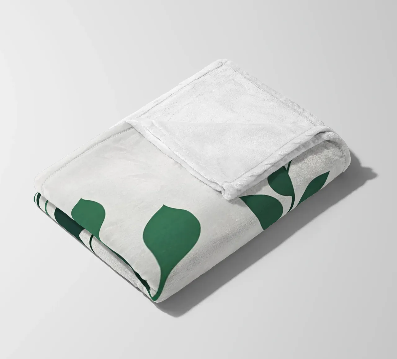 Pianta di giada coperta in pile da Botanical Gallery