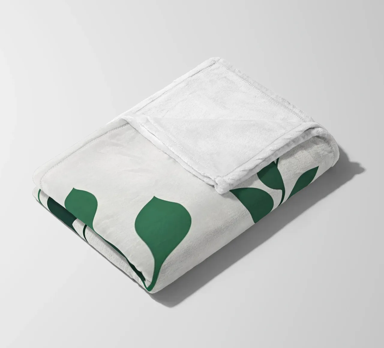 Pianta di giada coperta in pile da Botanical Gallery