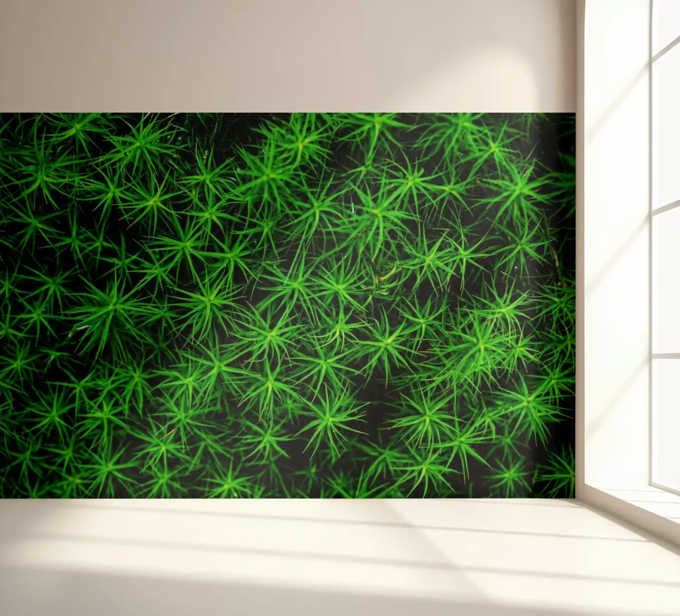 Moss pattern papier peint photo de Fjöllart