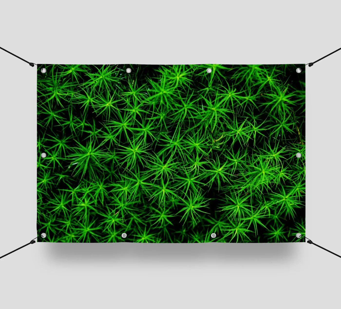 Moss pattern PVC Plane von Fjöllart