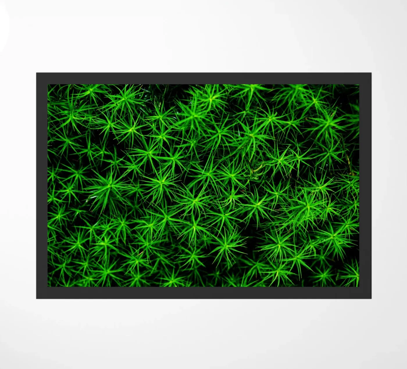 Moss pattern doormat by Fjöllart