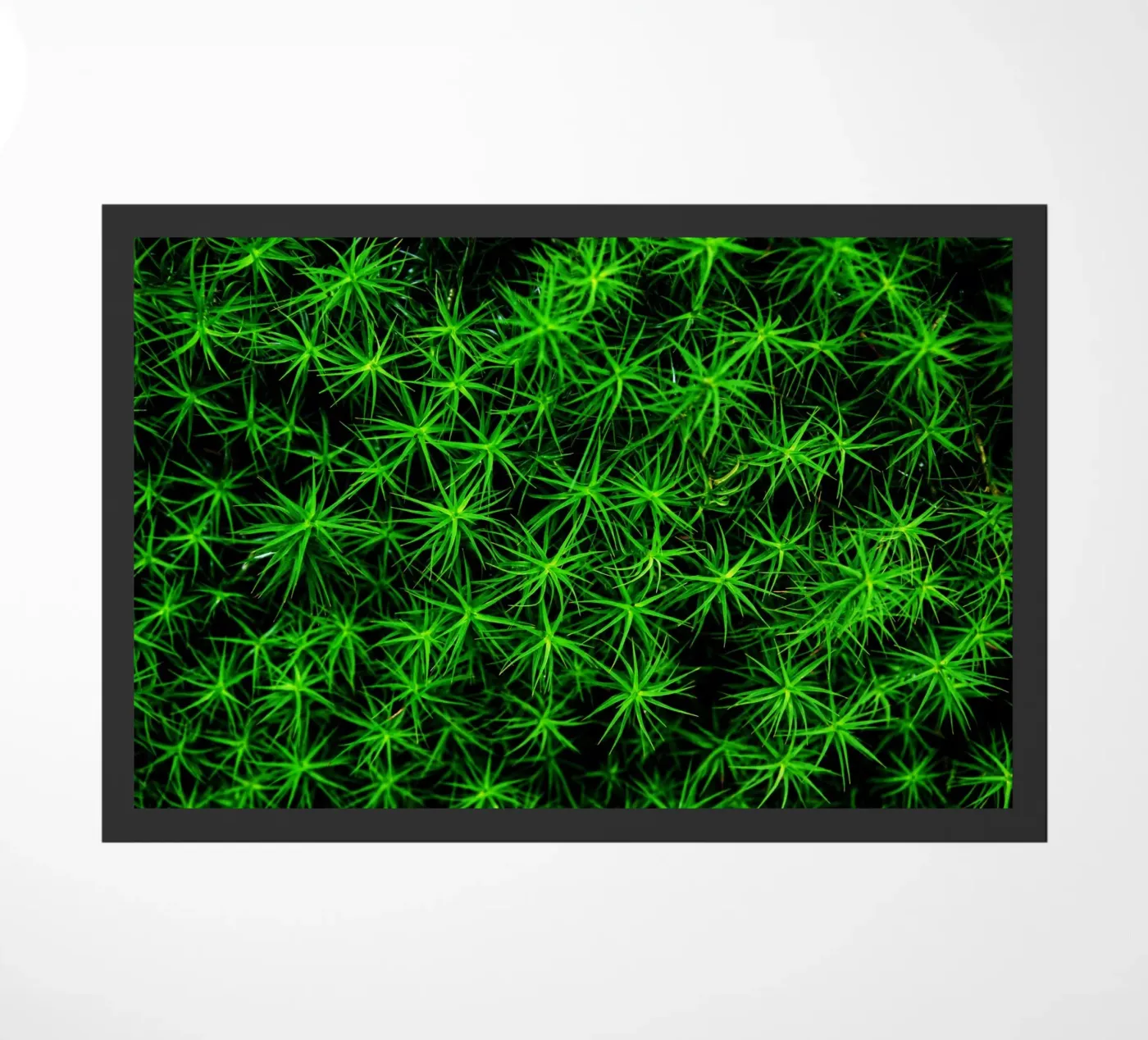 Moss pattern Fußmatte von Fjöllart