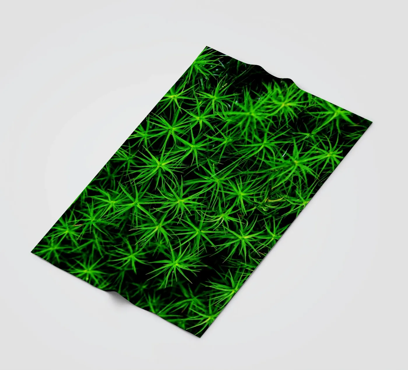 Moss pattern plaid polaire de Fjöllart