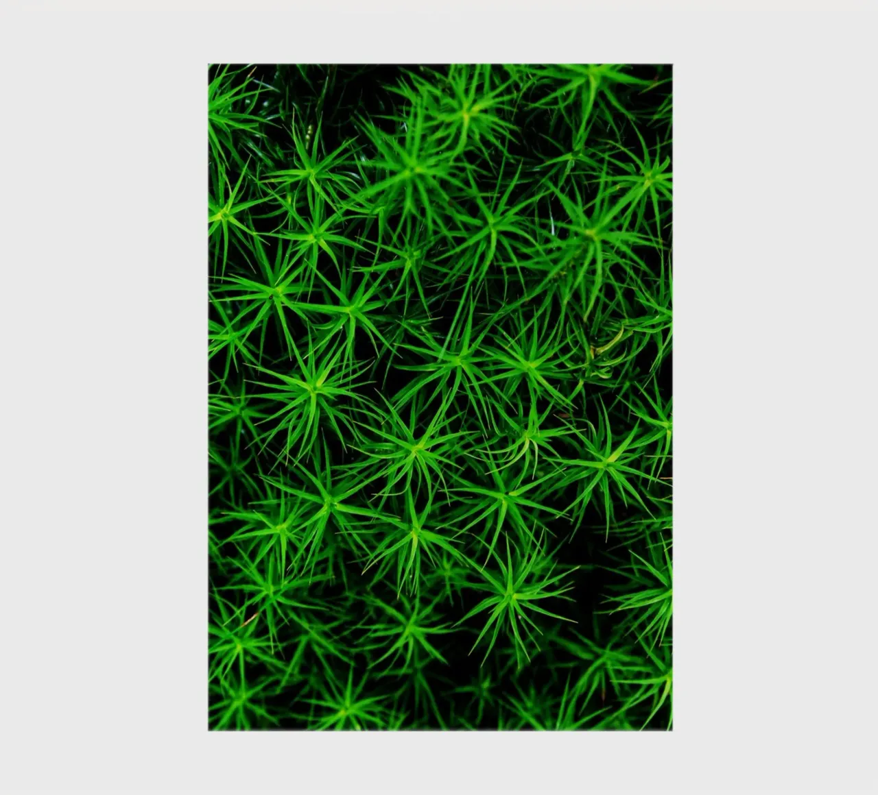 Moss pattern notebook by Fjöllart