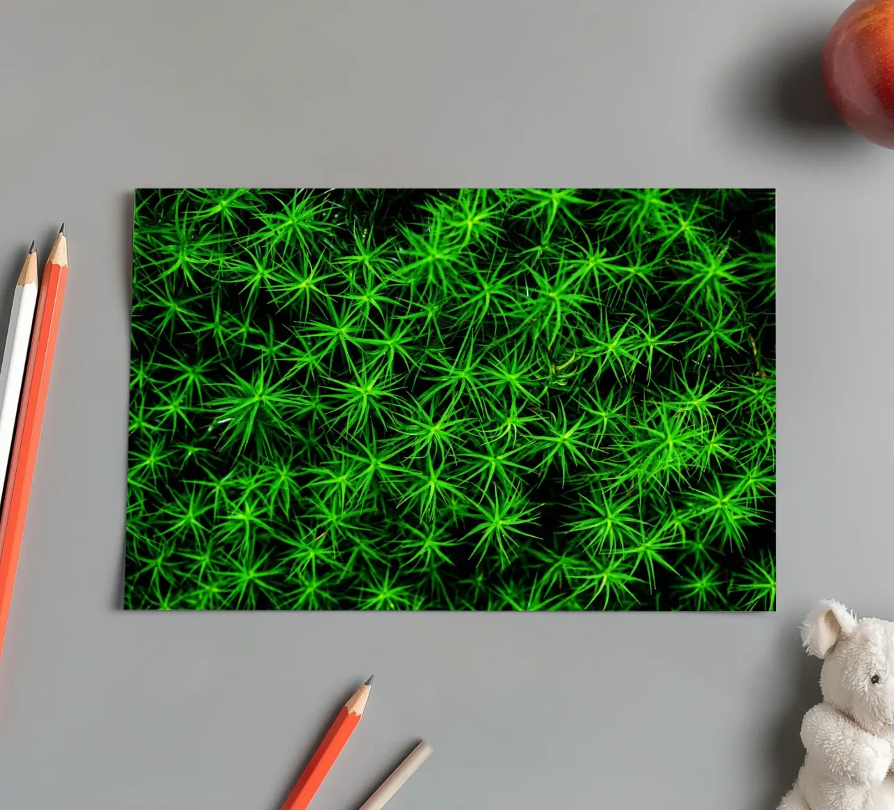 Moss pattern sticker sheet by Fjöllart