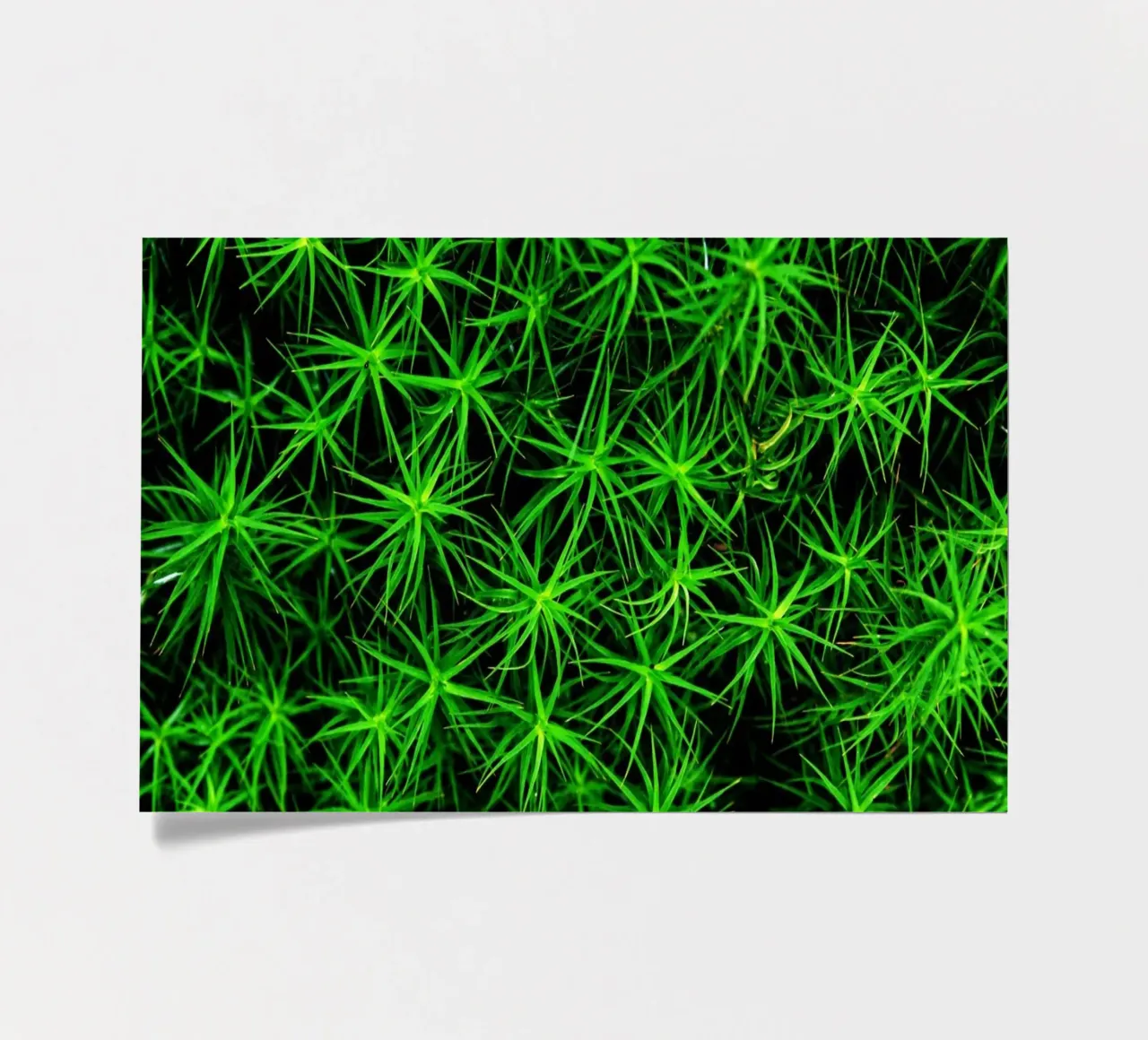 Moss pattern sticker sheet by Fjöllart