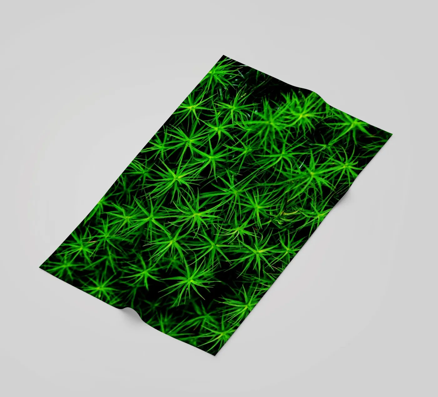 Moss pattern strandhanddoek van Fjöllart