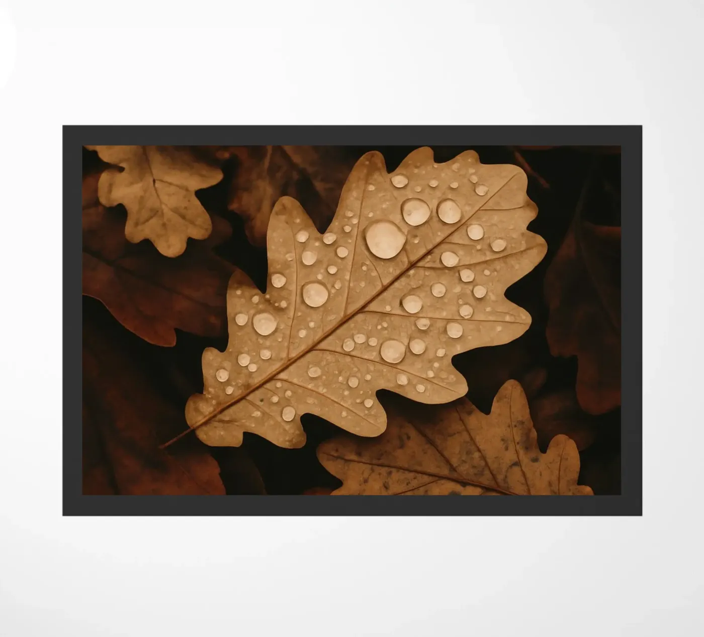 Autumn Leafs zerbino da treechild