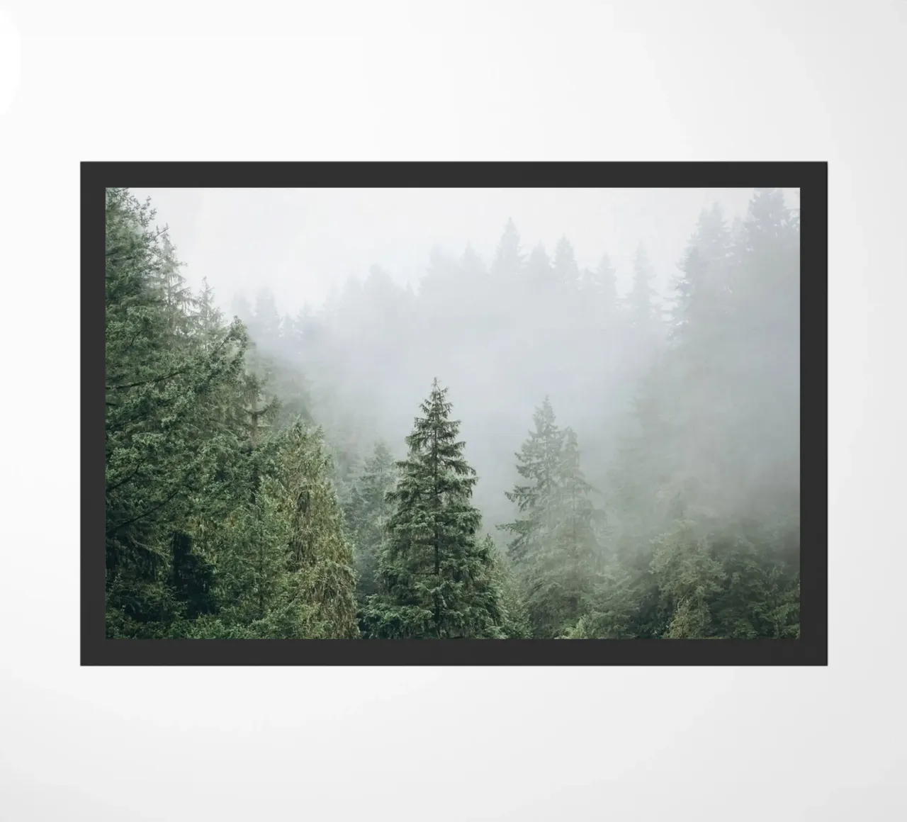Vancouver, Canada I Foresta di abeti in una nebbia mistica zerbino da Julie Travel Photography