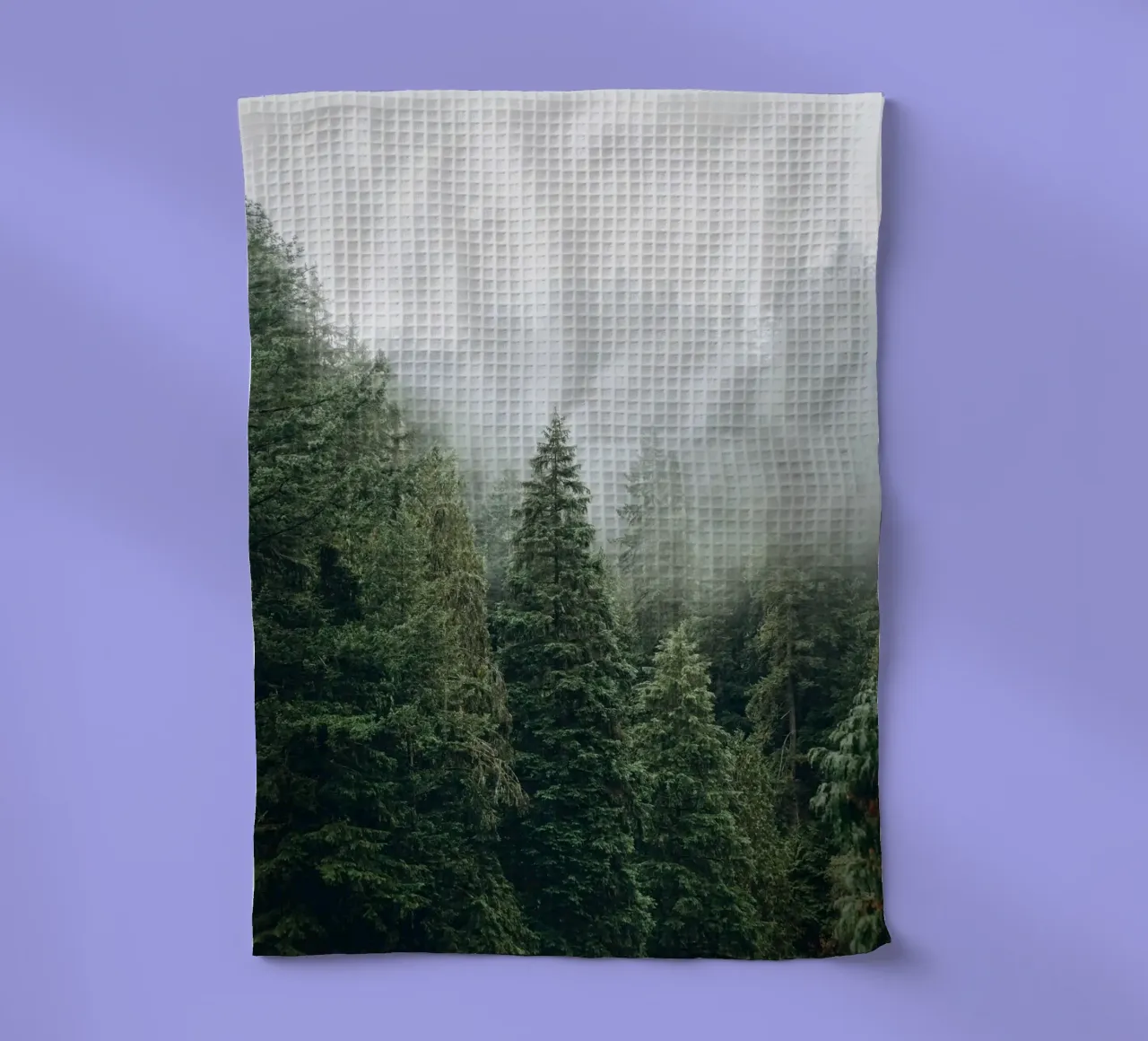 Vancouver, Canada I Foresta di abeti in una nebbia mistica canovaccio da cucina da Julie Travel Photography