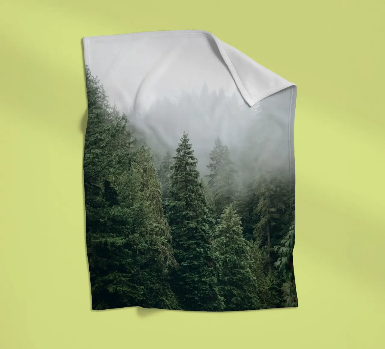 Vancouver, Canada I Foresta di abeti in una nebbia mistica coperta in pile da Julie Travel Photography