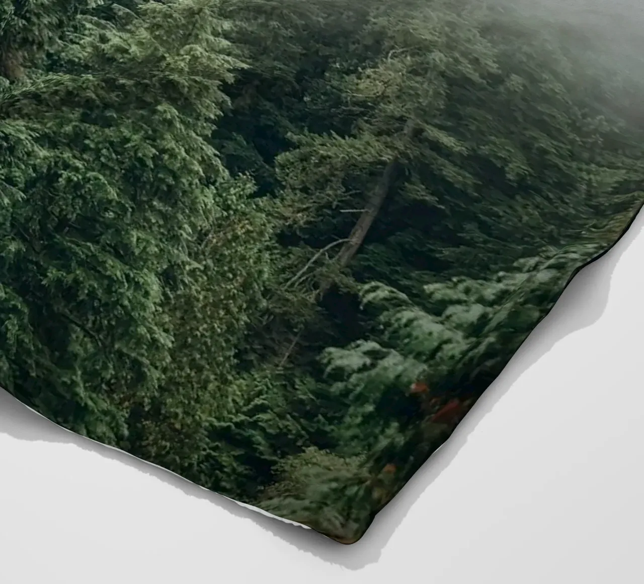 Vancouver, Canada I Foresta di abeti in una nebbia mistica coperta in pile da Julie Travel Photography