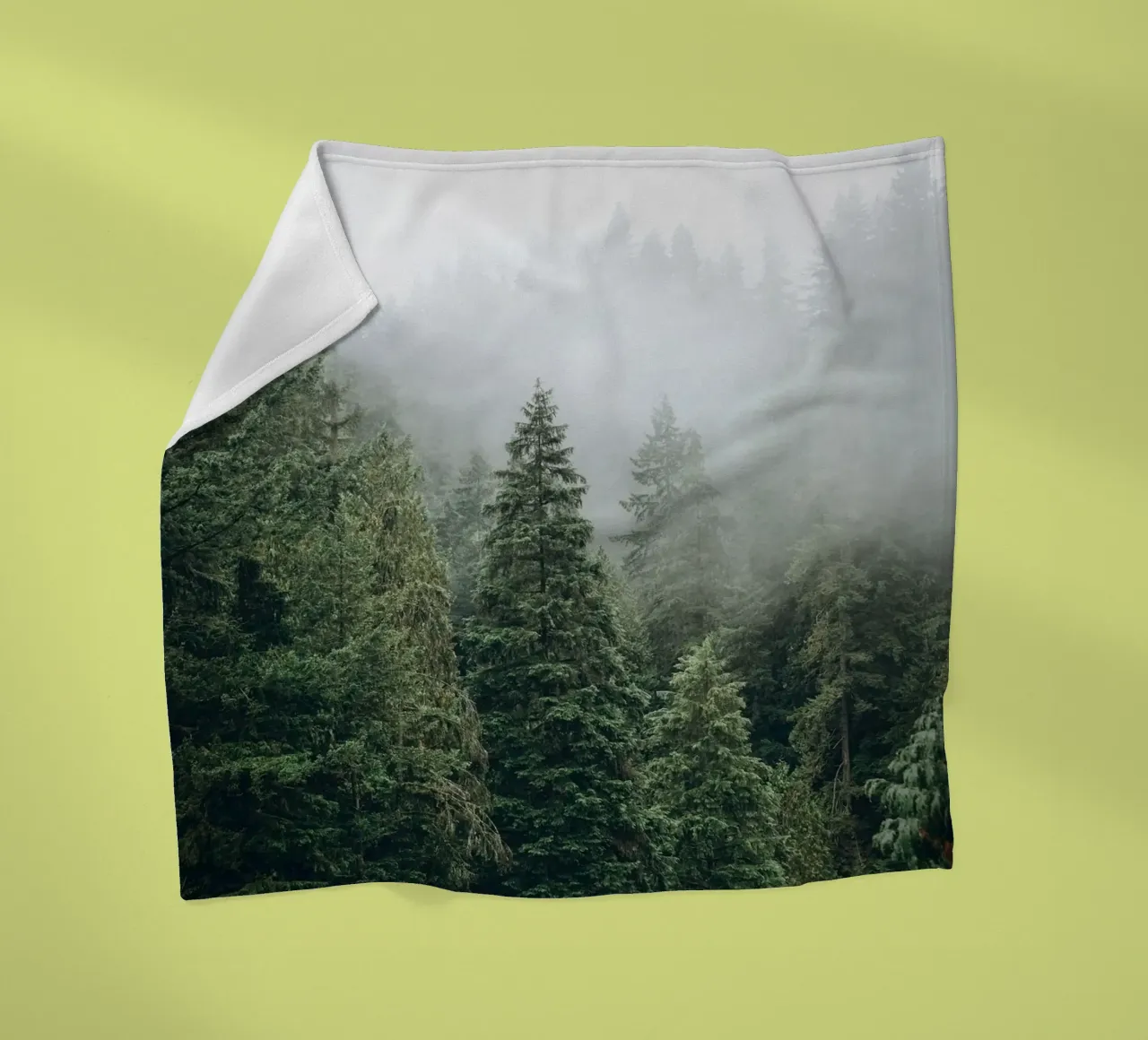 Vancouver, Canada I Foresta di abeti in una nebbia mistica coperta in pile da Julie Travel Photography