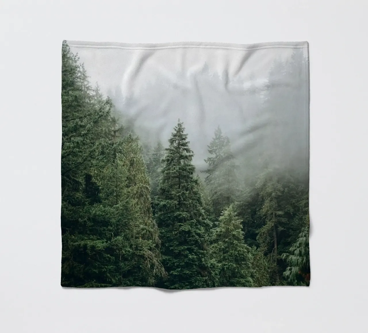 Vancouver, Canada I Foresta di abeti in una nebbia mistica coperta in pile da Julie Travel Photography