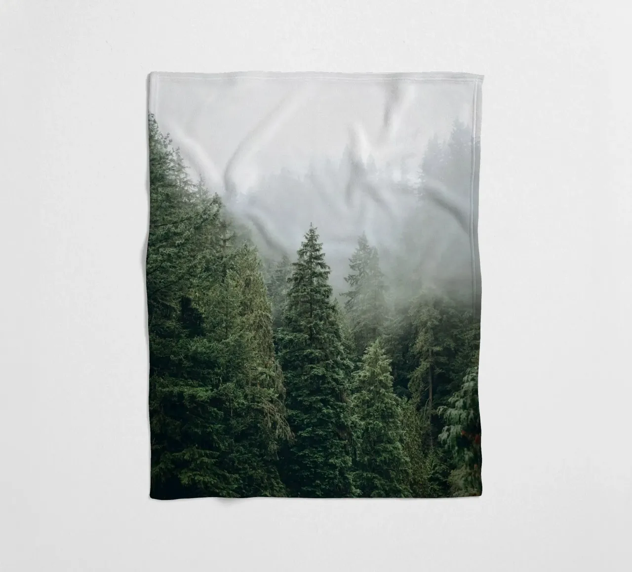 Vancouver, Canada I Foresta di abeti in una nebbia mistica coperta in pile da Julie Travel Photography