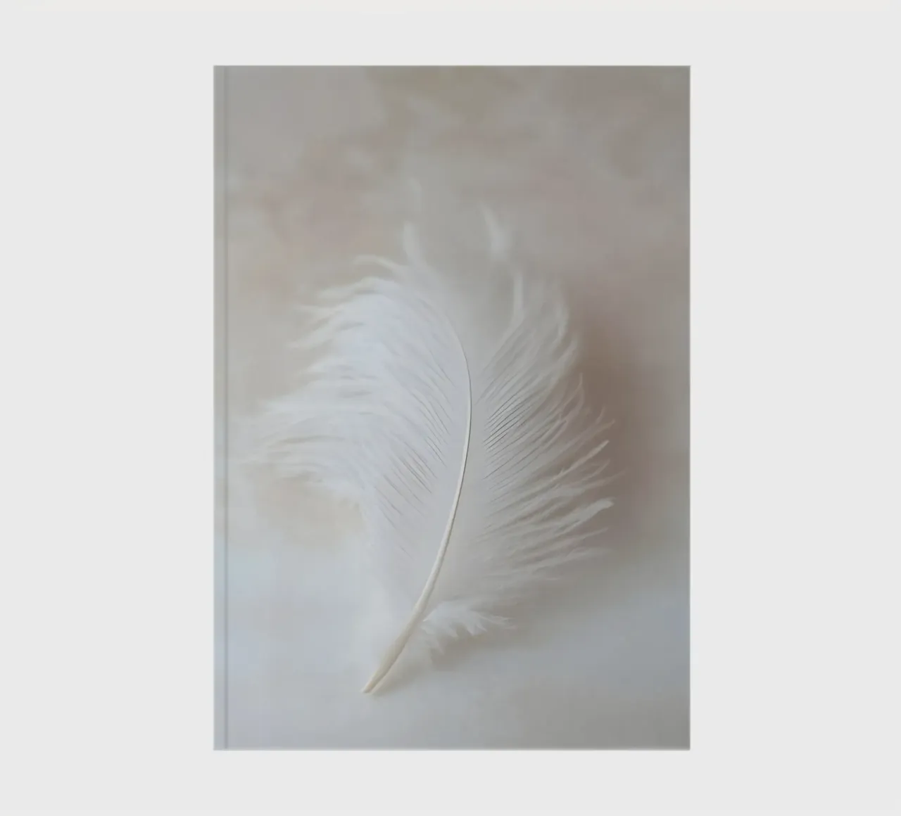 Un singolo pennacchio diario da luxi&lace