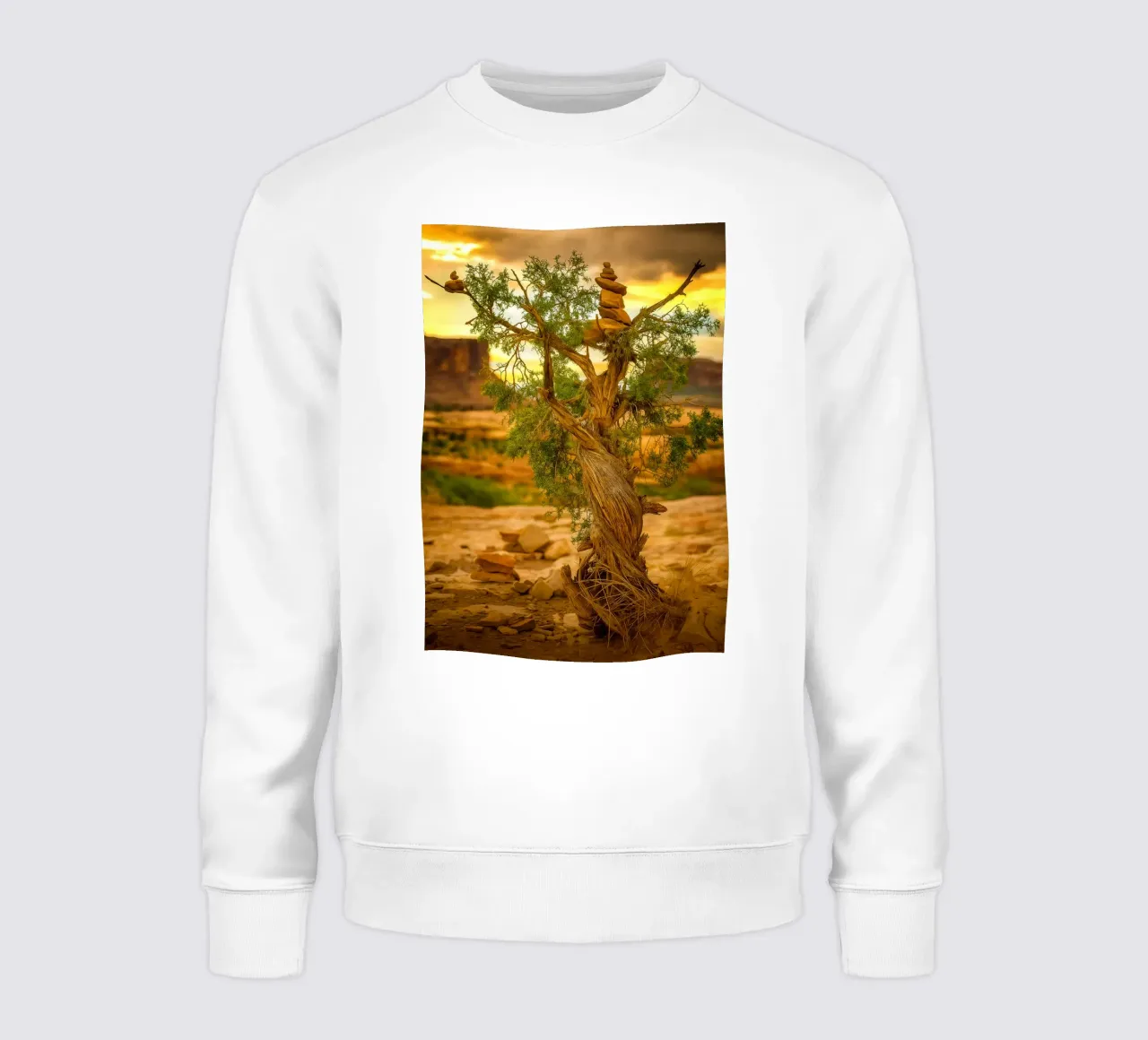 roccia in equilibrio sull'albero felpa da tamarind