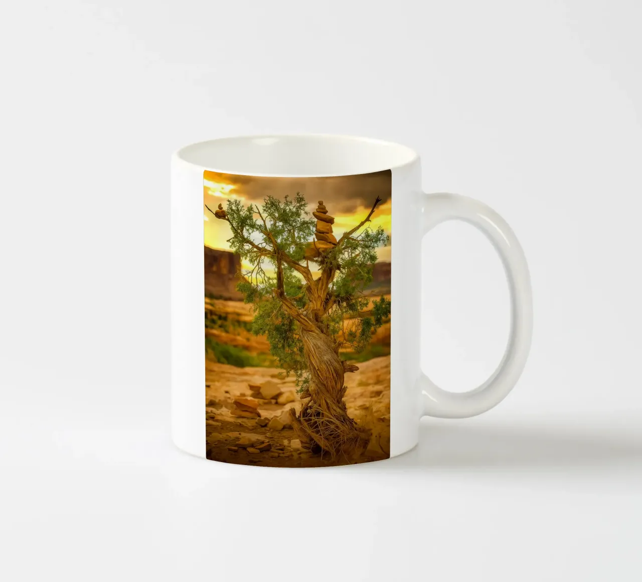 roccia in equilibrio sull'albero tazza in ceramica da tamarind