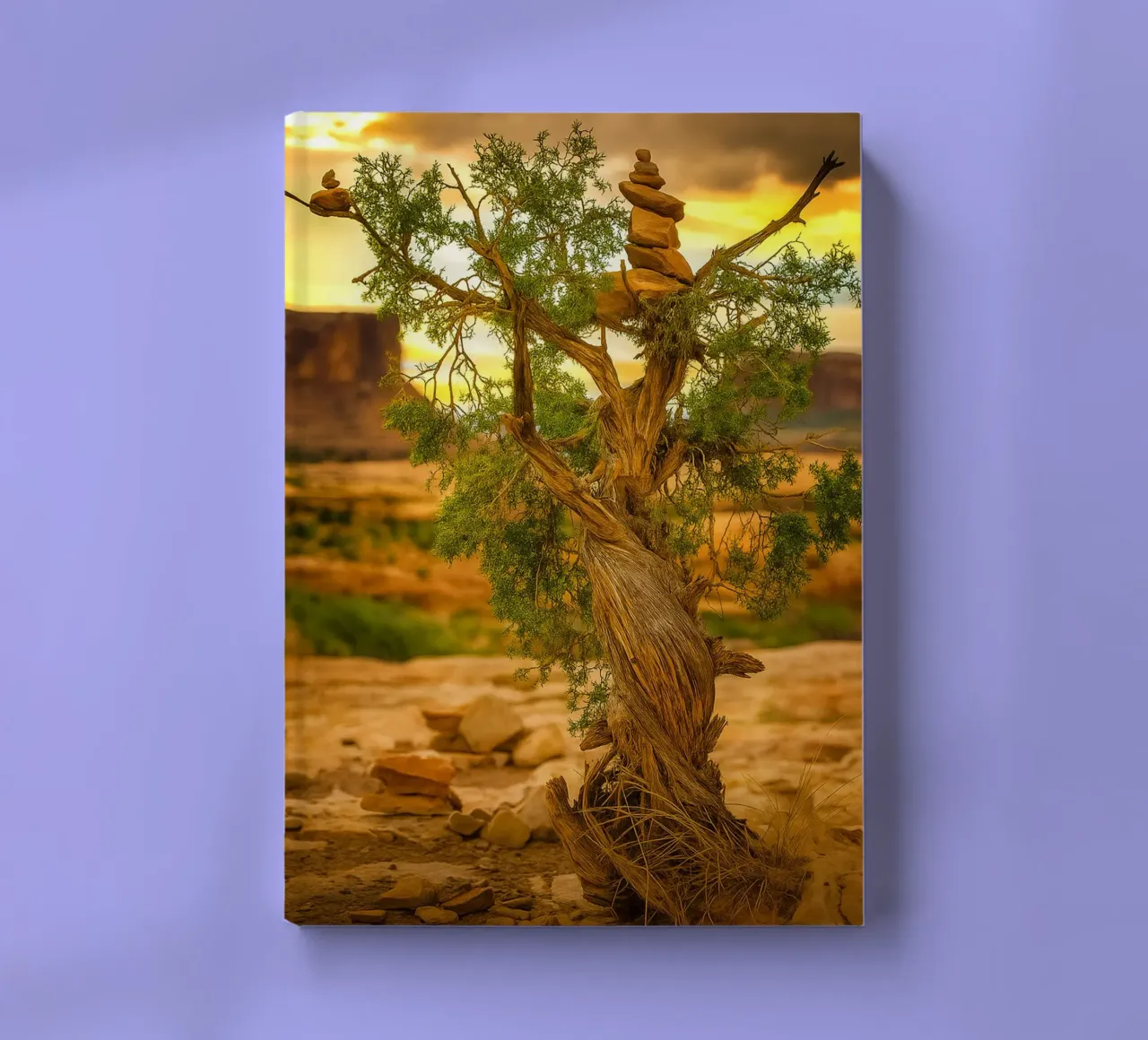 rock balancing on the tree notebook by tamarind