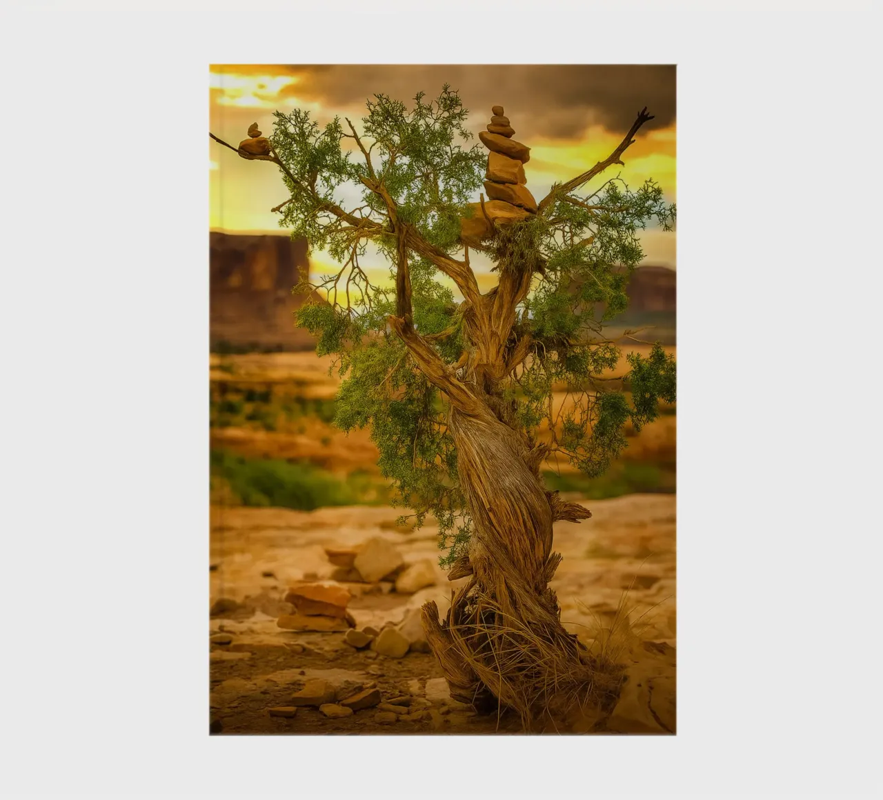 rock balancing on the tree notebook by tamarind