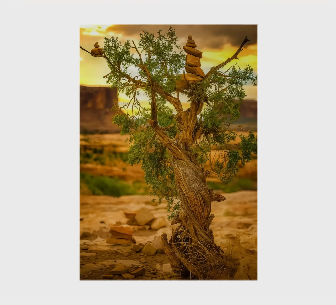 rock balancing on the tree notebook by tamarind