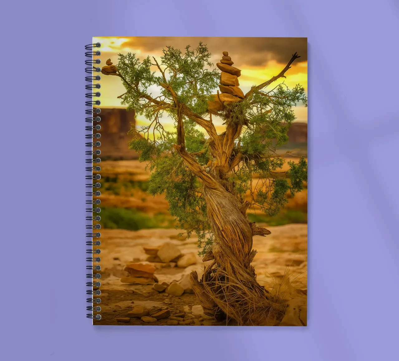 rock balancing on the tree spiral notebook by tamarind