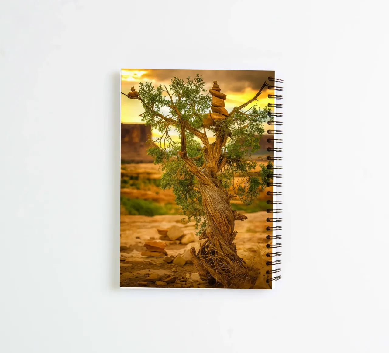 rock balancing on the tree spiral notebook by tamarind