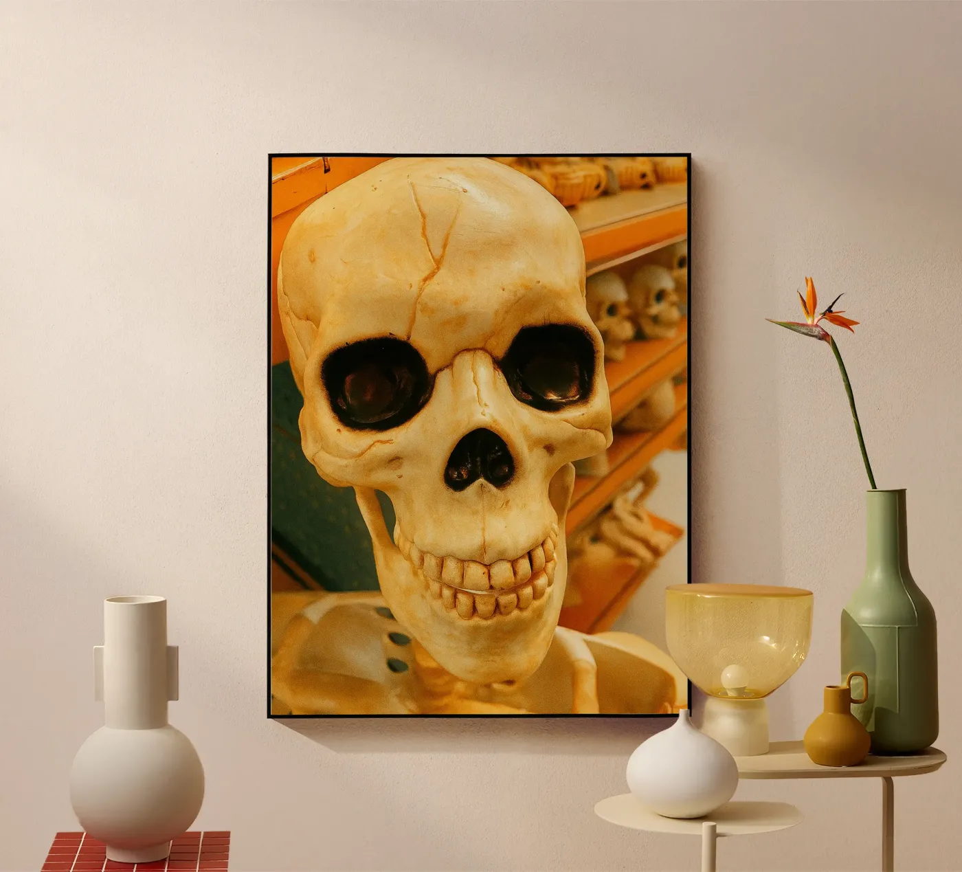 teschio giocattolo plexiglass da tamarind