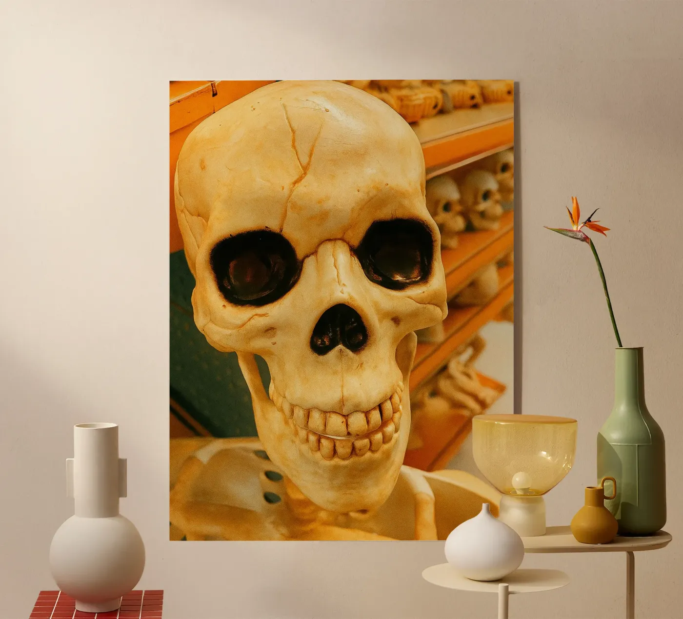 teschio giocattolo plexiglass da tamarind