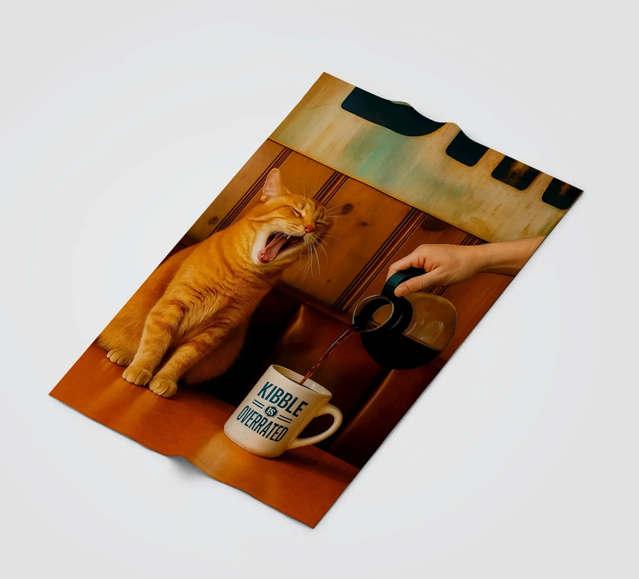 sbadiglio gatto e caffè coperta in pile da tamarind