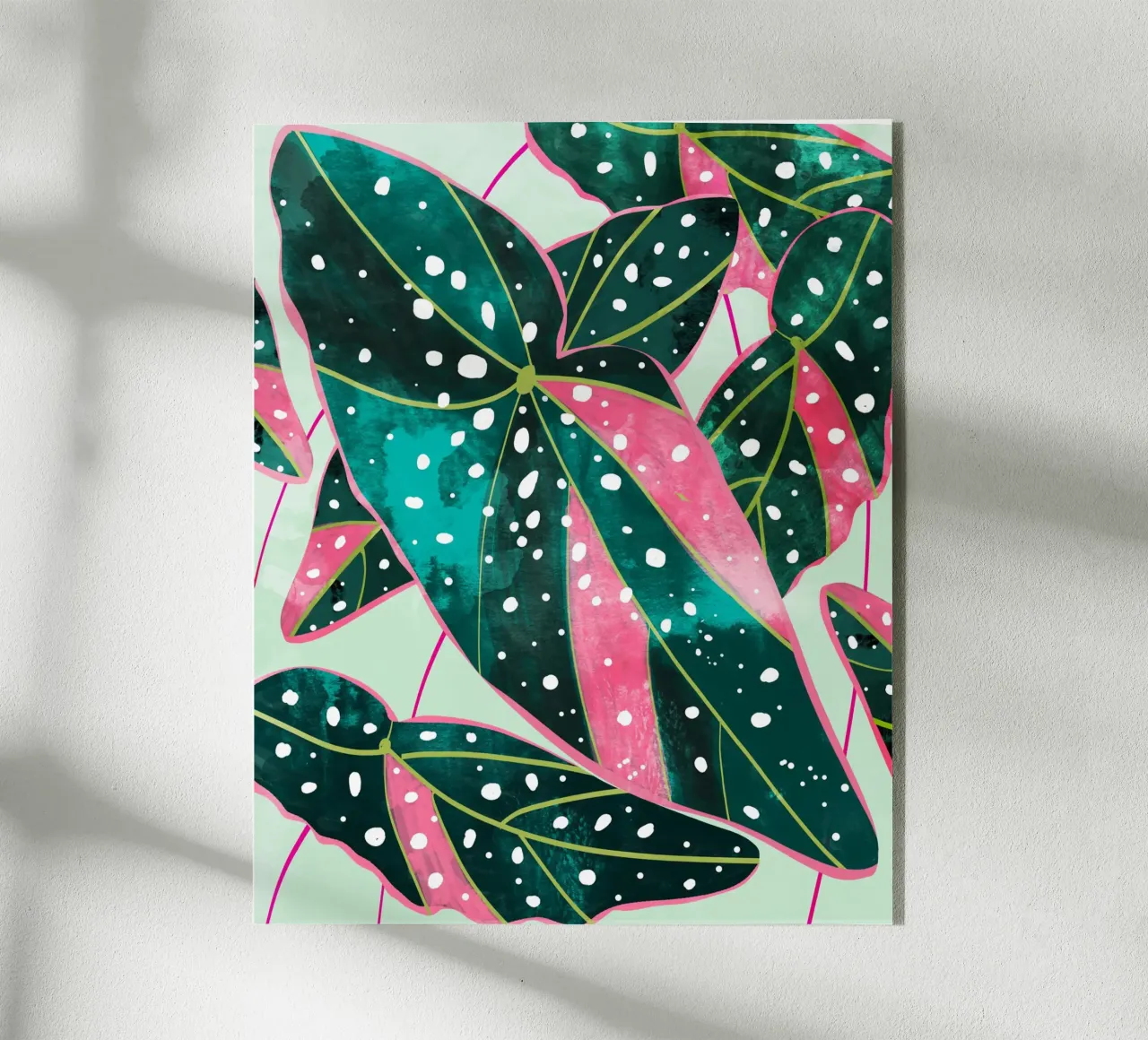 Haripriya plexiglass da 83oranges.com