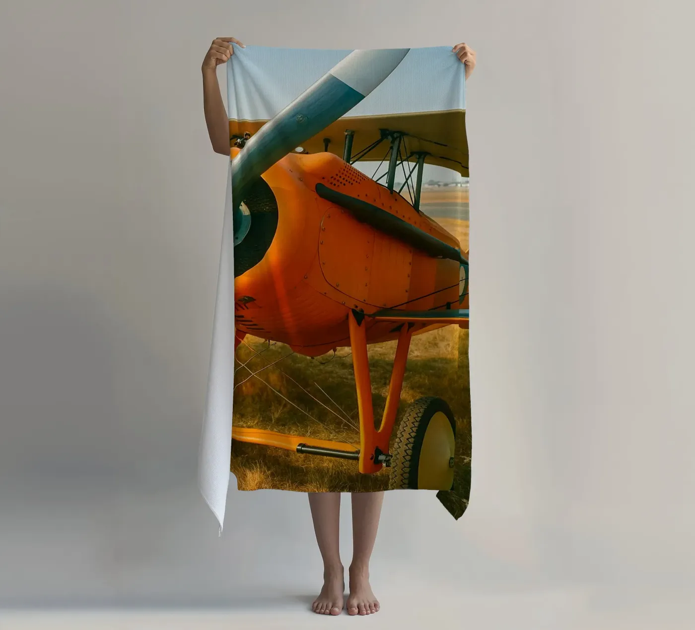 aereo d'epoca telo mare da tamarind