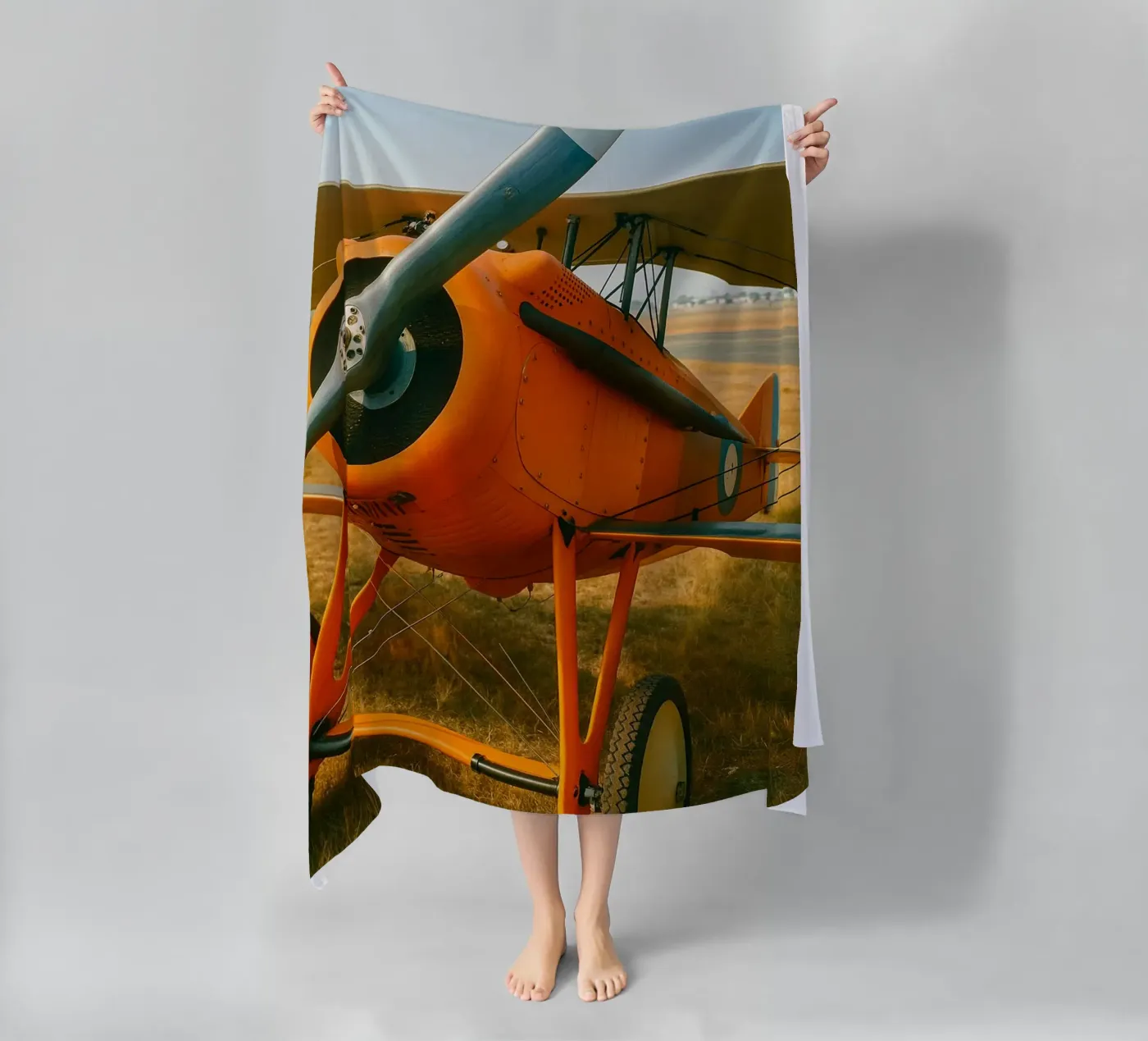 aereo d'epoca telo mare da tamarind