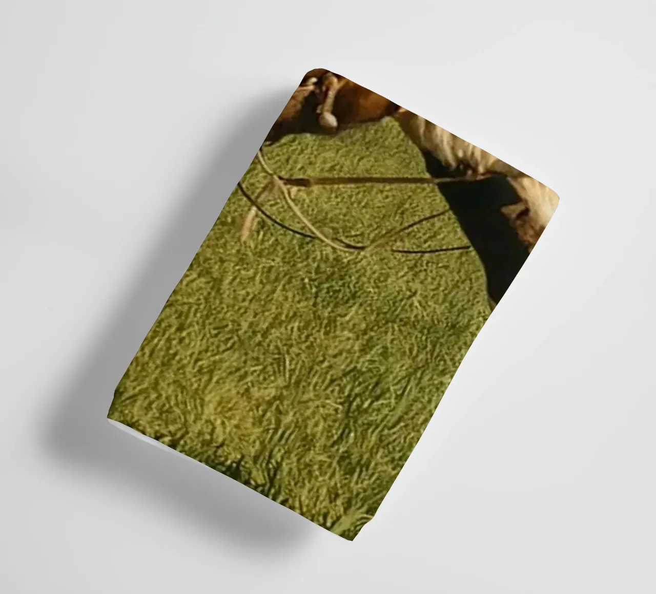 young man herding cows in the meadow towel by tamarind