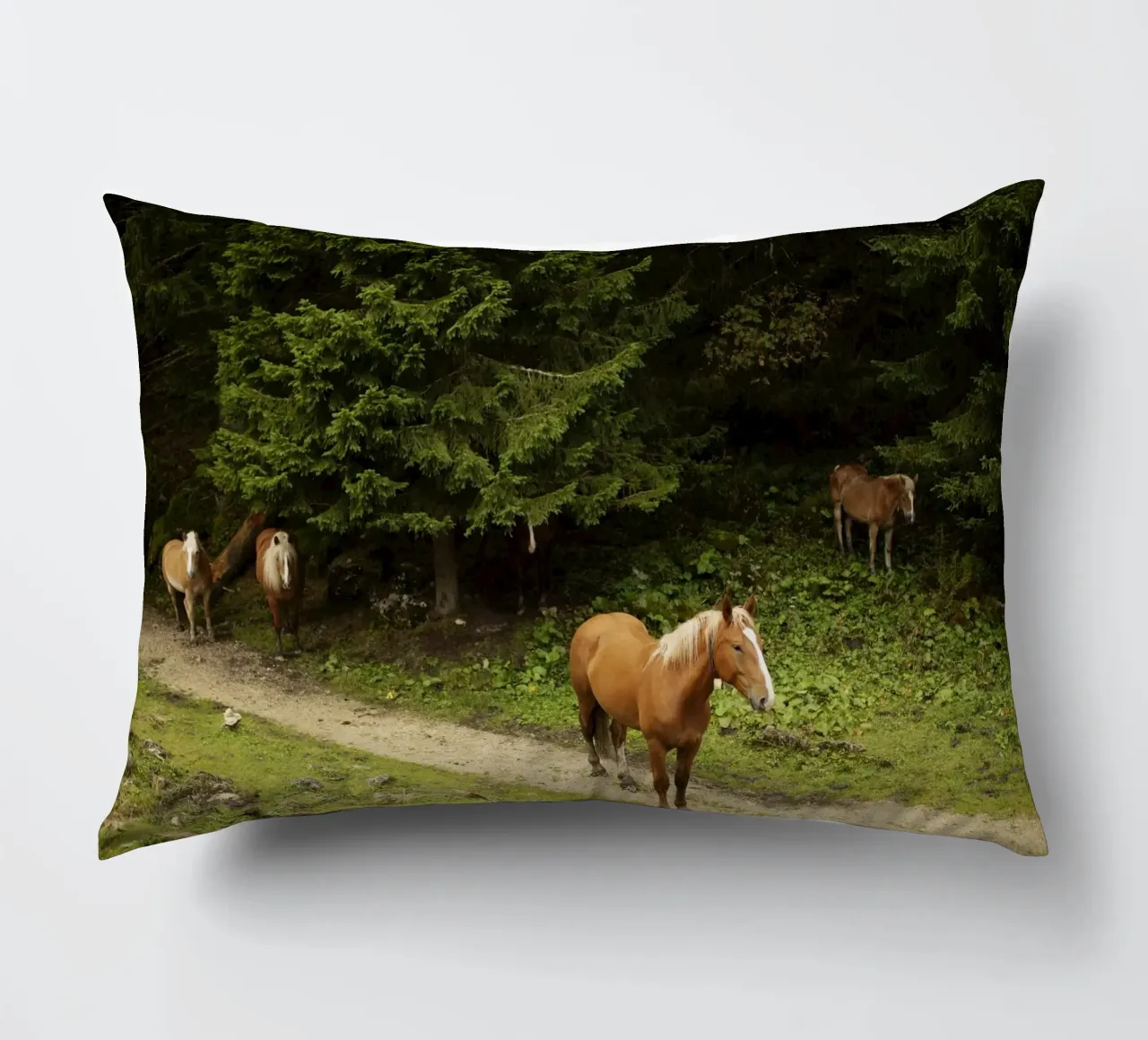 Cavalli nella foresta cuscino da atmospheric pictures