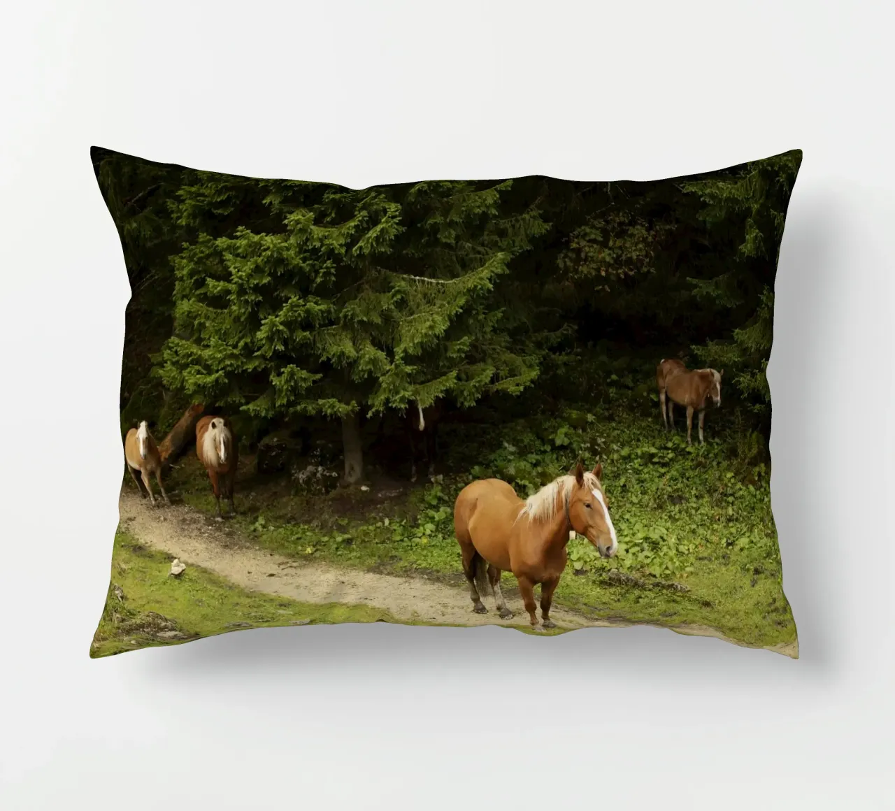 Cavalli nella foresta cuscino da atmospheric pictures