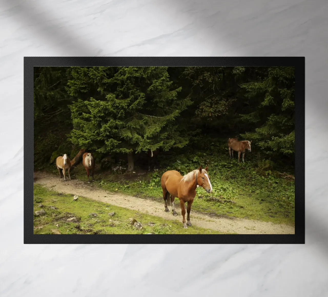 Cavalli nella foresta zerbino da atmospheric pictures