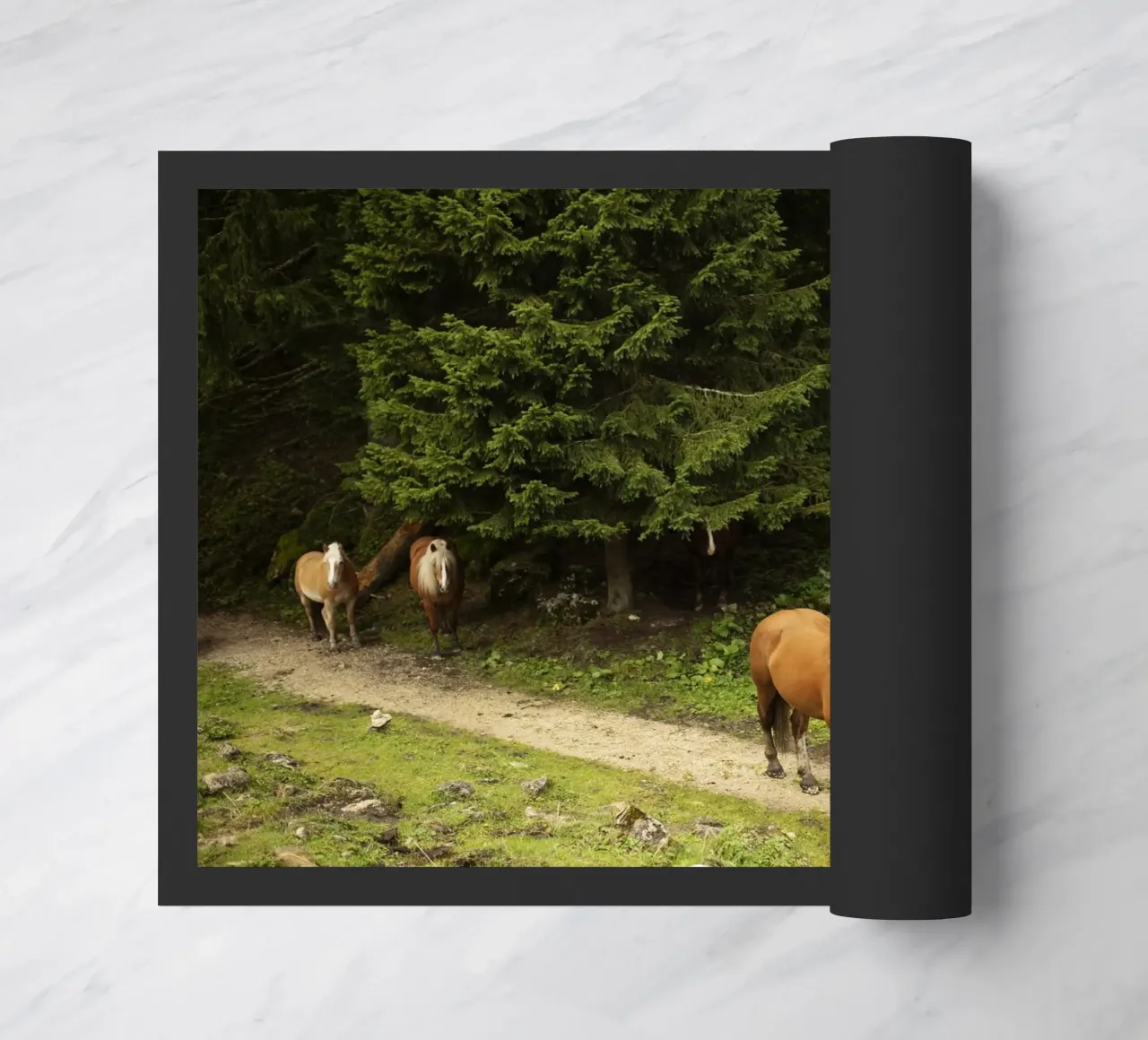 Cavalli nella foresta zerbino da atmospheric pictures
