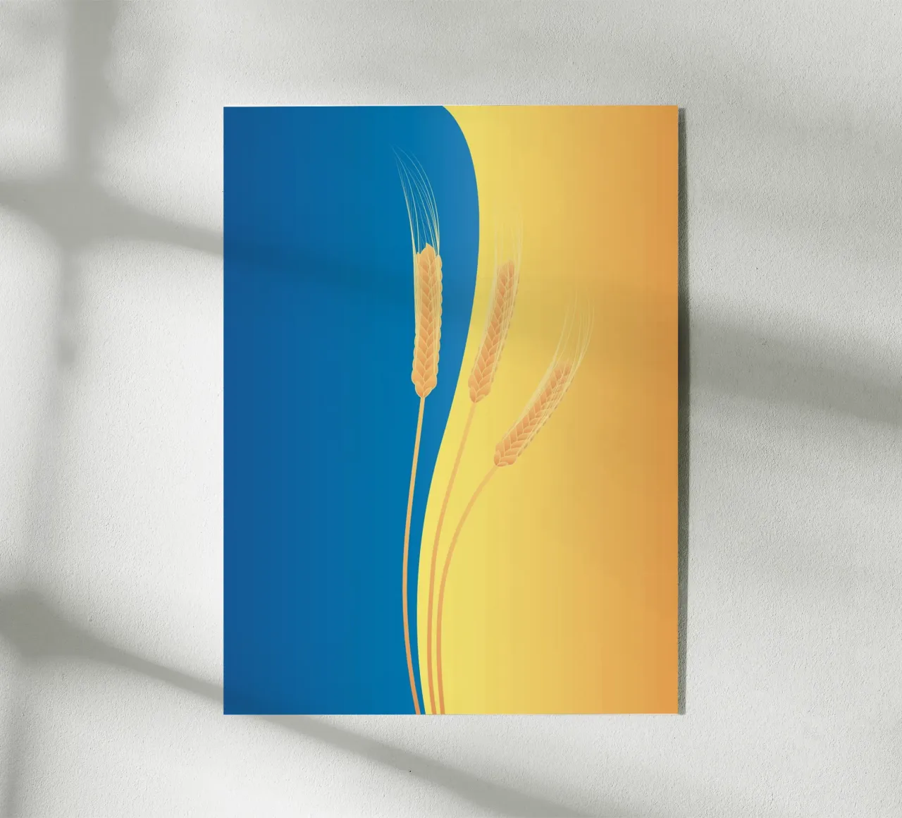 balance paddy plexiglass da scoten