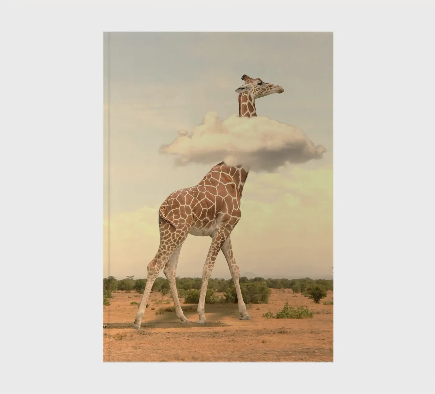 giraffe cloud notebook by scoten