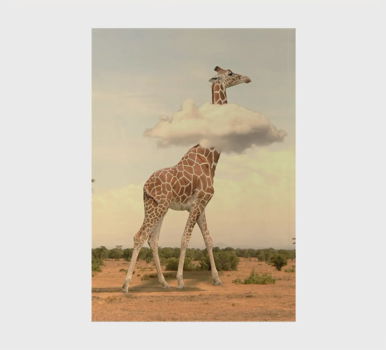 giraffe cloud notebook by scoten
