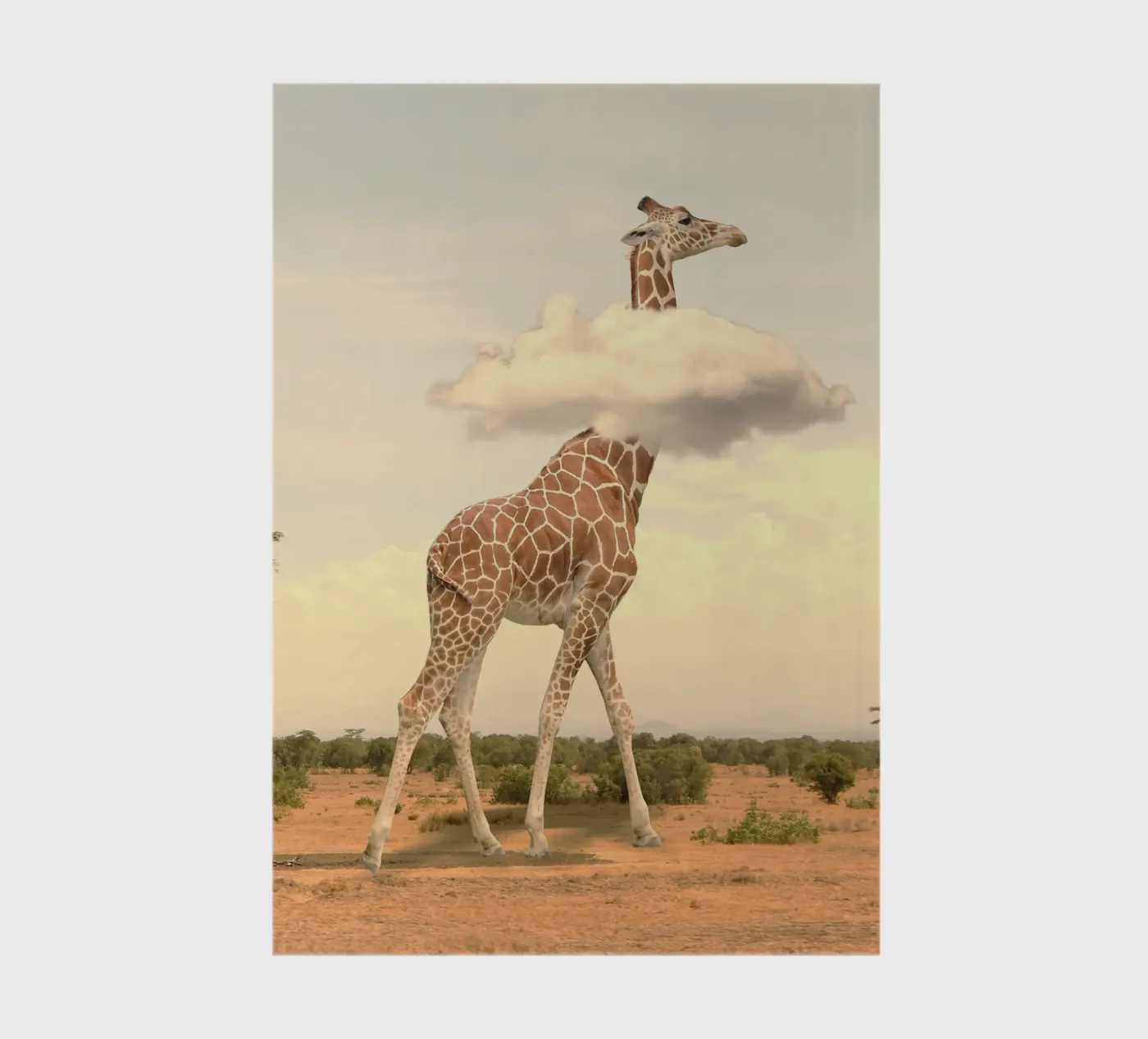 giraffe cloud quaderno da scoten
