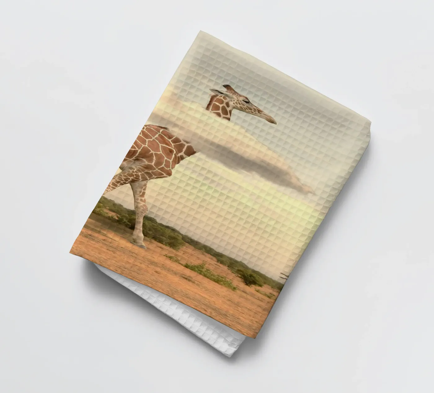 giraffe cloud torchon de scoten