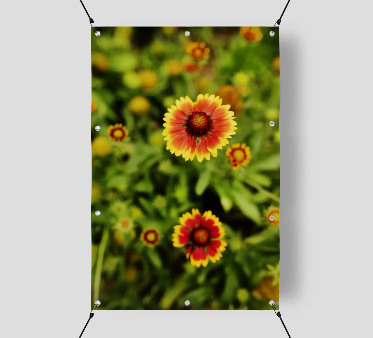fiore d'arancio, Monaco di Baviera telo in pvc da atmospheric pictures